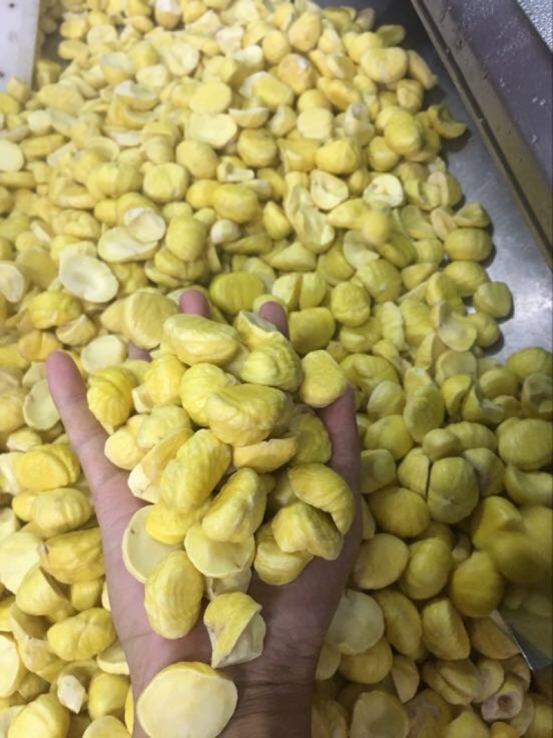 罗田板栗
