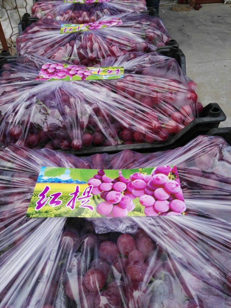 防雨棚《精品红提葡萄》颗粒大，果粉好、全红、货源充足。
