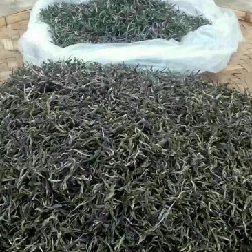 古树茶特级