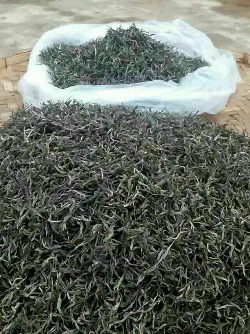 古树茶特级
