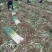 长白大葱毛葱3cm左右40cm以上，保质保量发货
