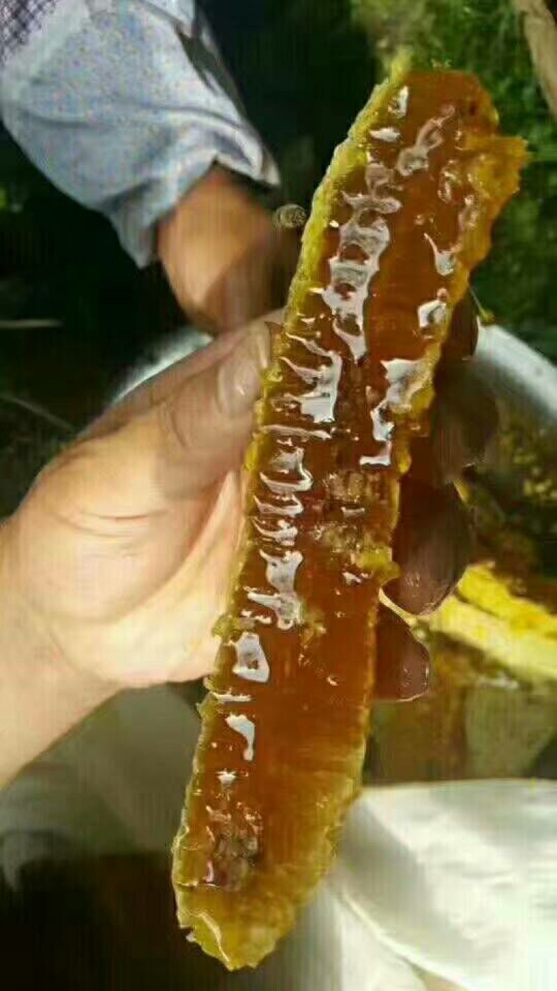 蜂蜜2斤起