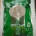 石阡苔茶一级
