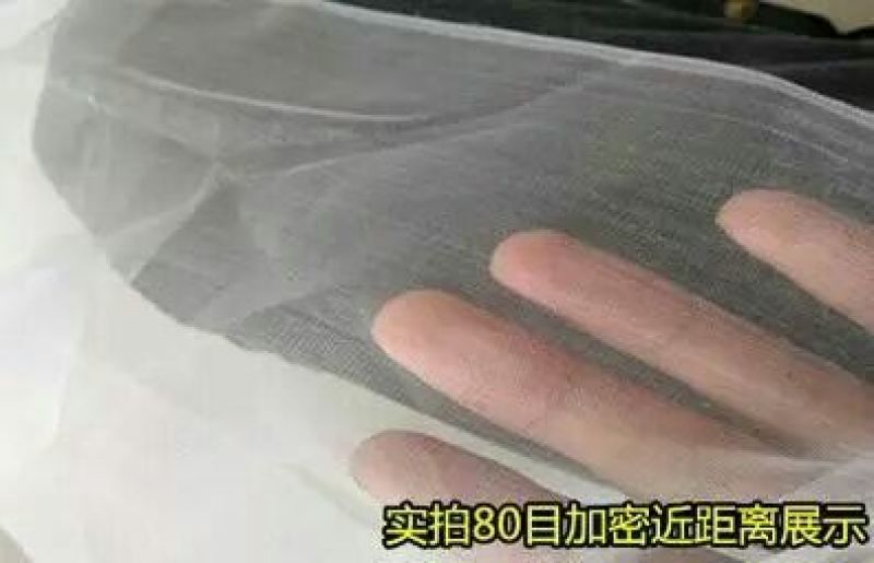 防虫网