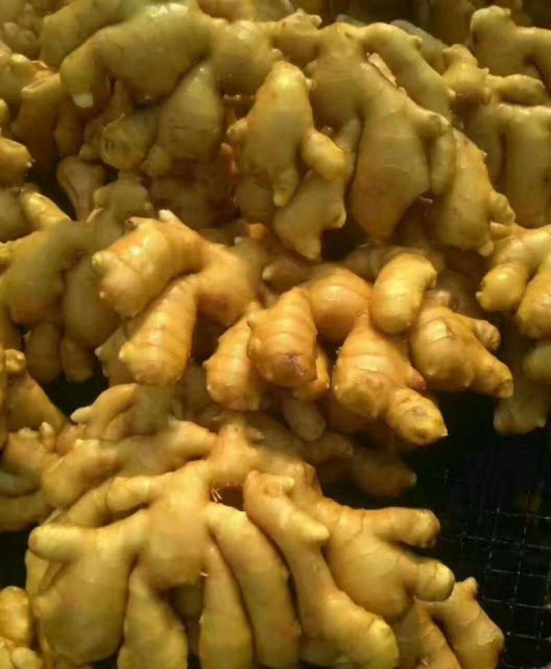【荐】生姜产地山东生姜批发各种规格品种全量大价低