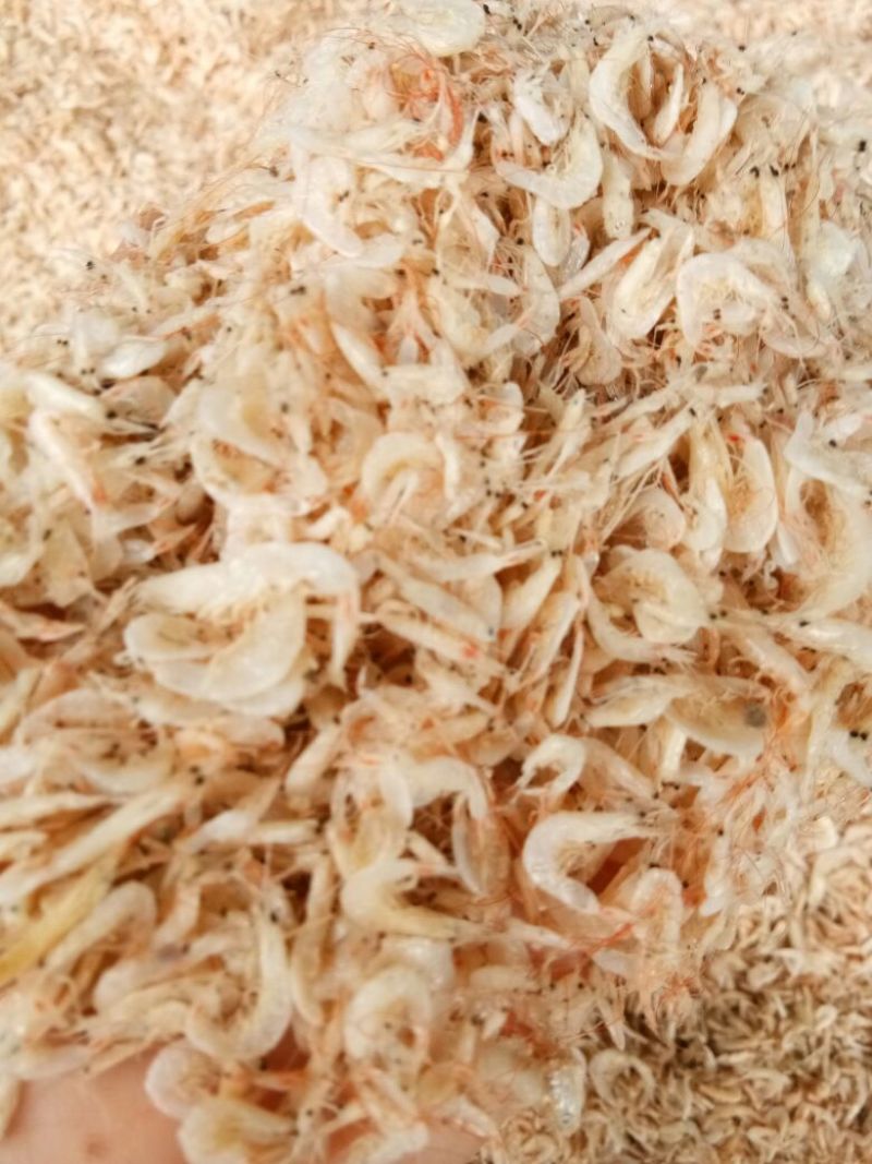 虾皮二级