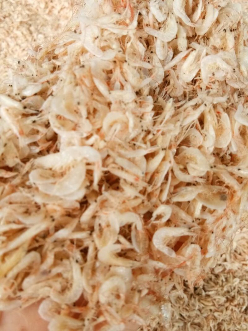 虾皮二级