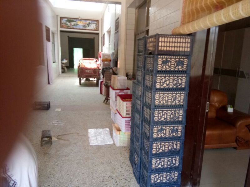 大荔冬枣各种等级规格可接电商加工社区团购直播带货商超进出口