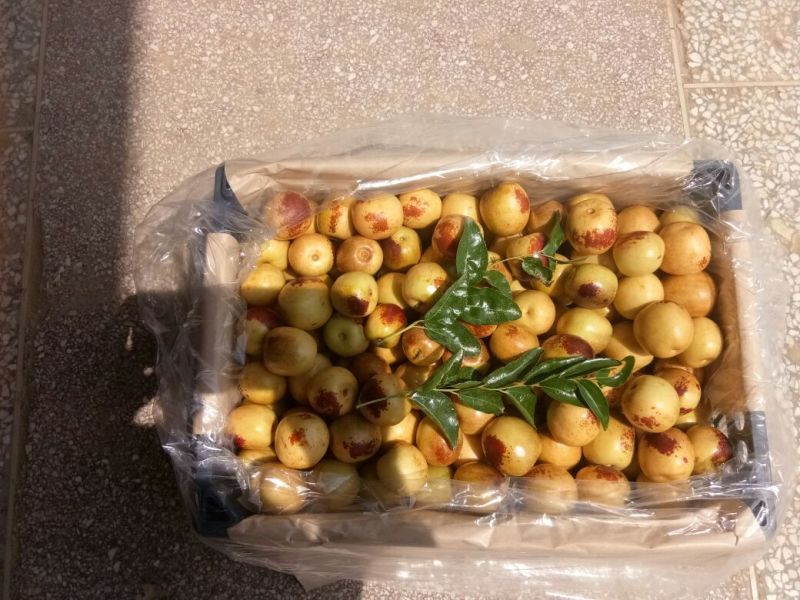 大荔冬枣各种等级规格可接电商加工社区团购直播带货商超进出口