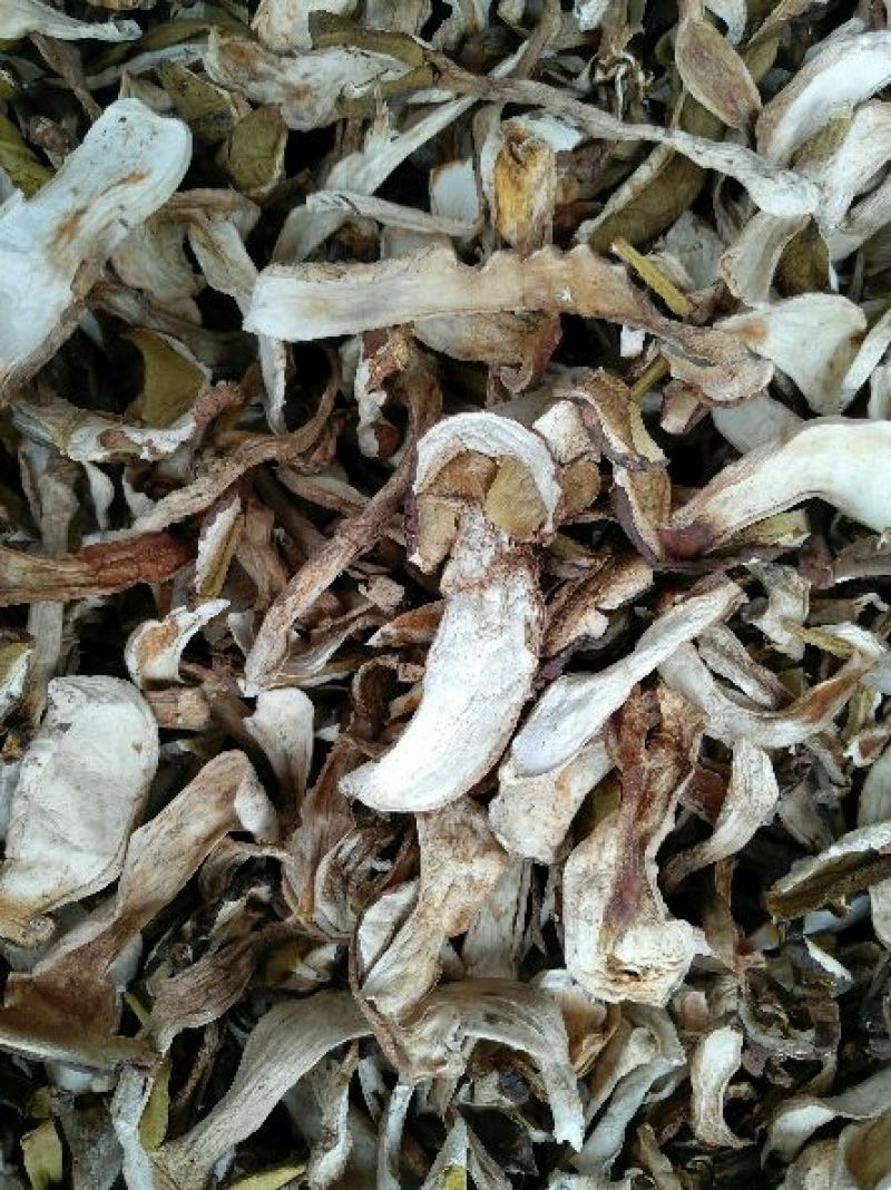 野生白牛肝菌又叫美味牛肝菌，色泽好香味浓干度好无霉无杂