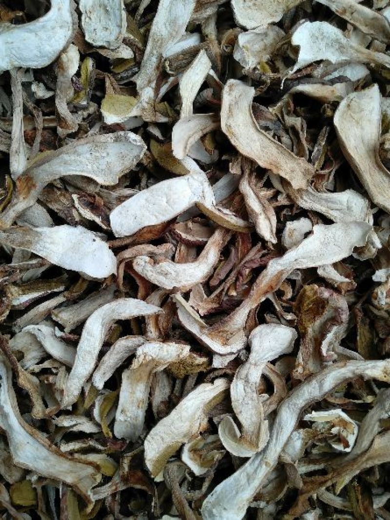 野生白牛肝菌又叫美味牛肝菌，色泽好香味浓干度好无霉无杂