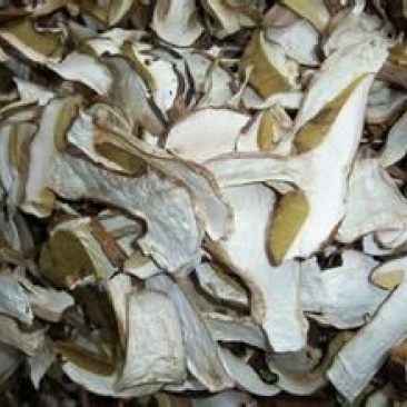 野生白牛肝菌又叫美味牛肝菌，色泽好香味浓干度好无霉无杂