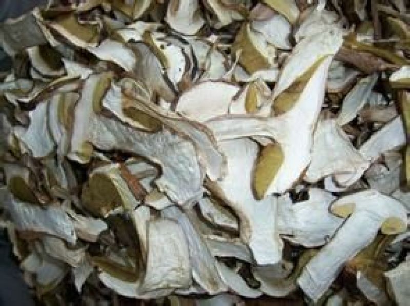 野生白牛肝菌又叫美味牛肝菌，色泽好香味浓干度好无霉无杂