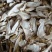 野生白牛肝菌又叫美味牛肝菌，色泽好香味浓干度好无霉无杂
