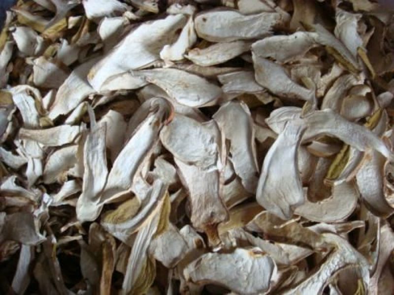 野生白牛肝菌又叫美味牛肝菌，色泽好香味浓干度好无霉无杂