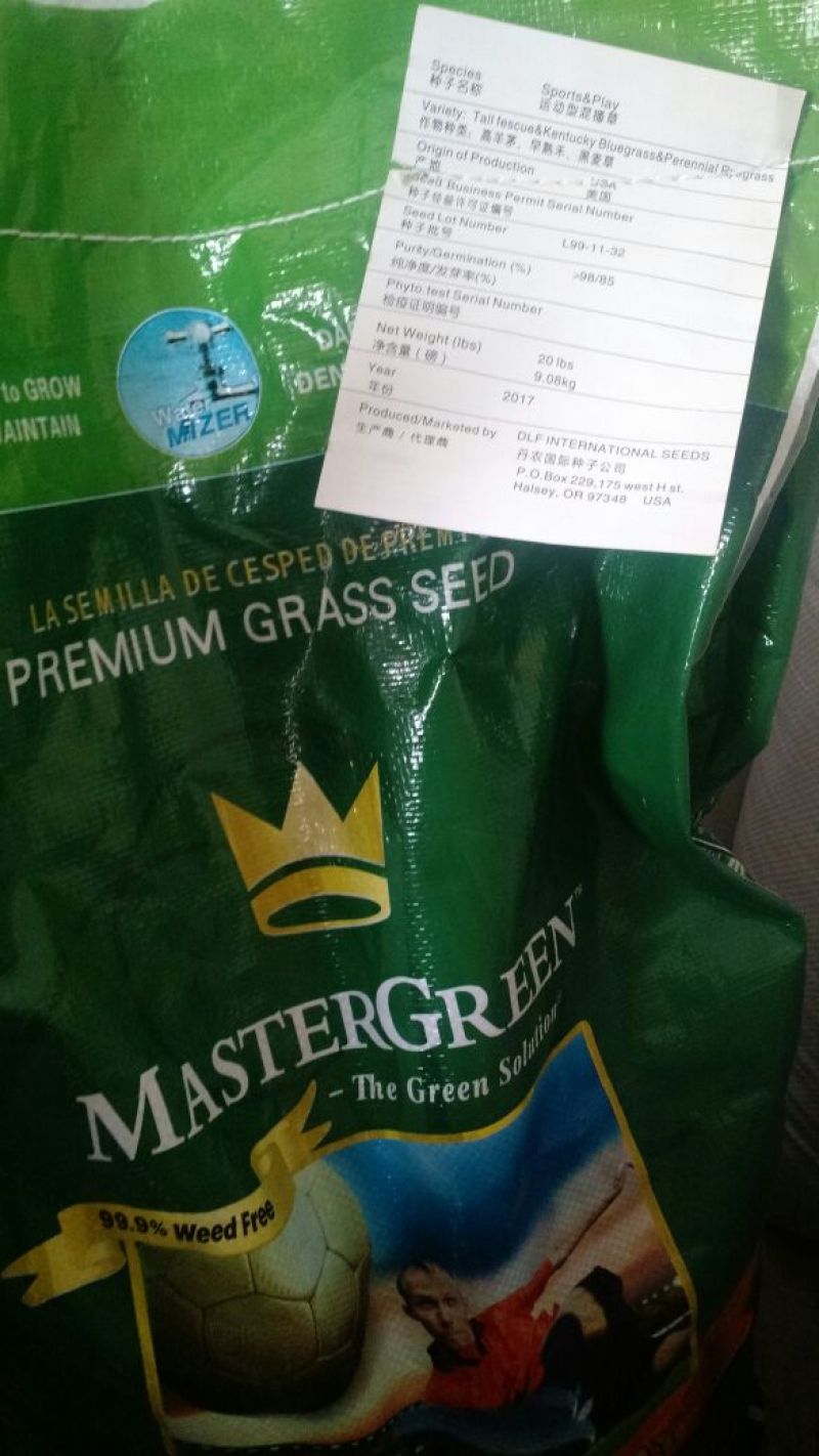 高羊茅草坪种子黑麦草草坪种子早熟禾草坪种子狗牙根草种子