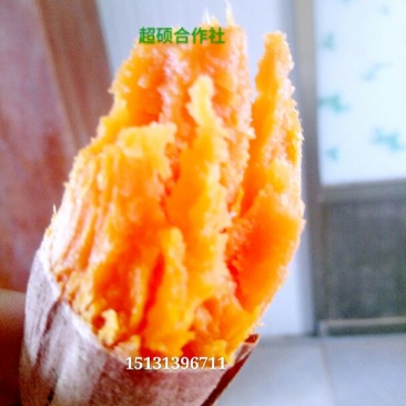 西瓜红红心2两以上