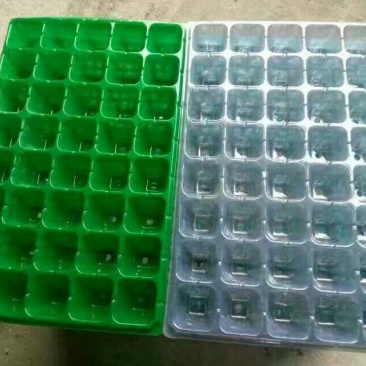 穴盘