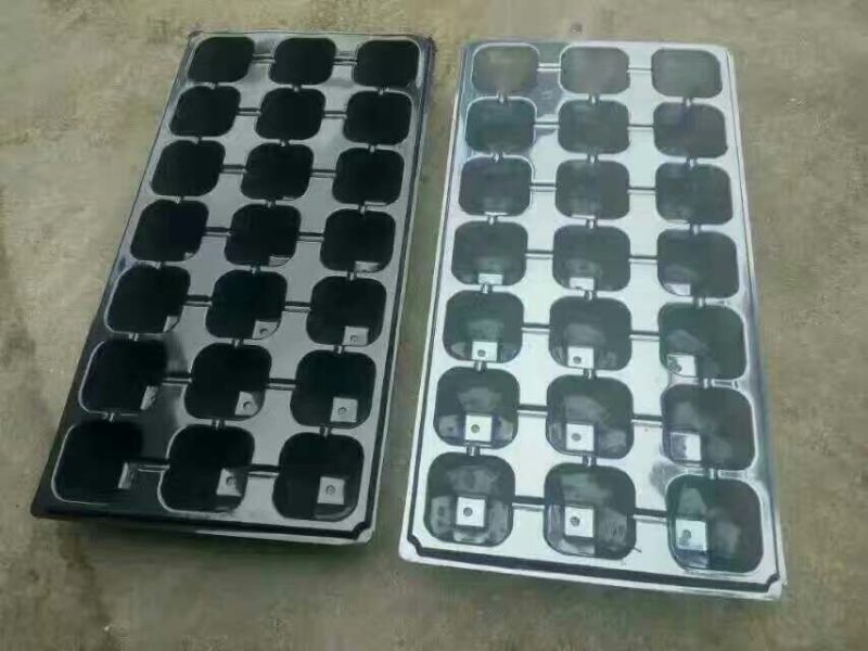 穴盘