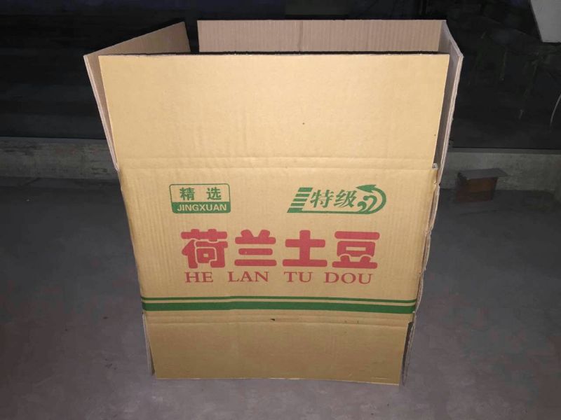 纸箱2号（530*230*290）