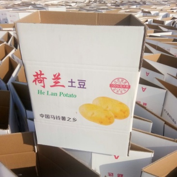纸箱2号（530*230*290）