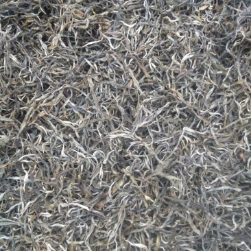 普洱茶二级