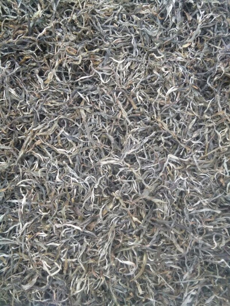 普洱茶二级