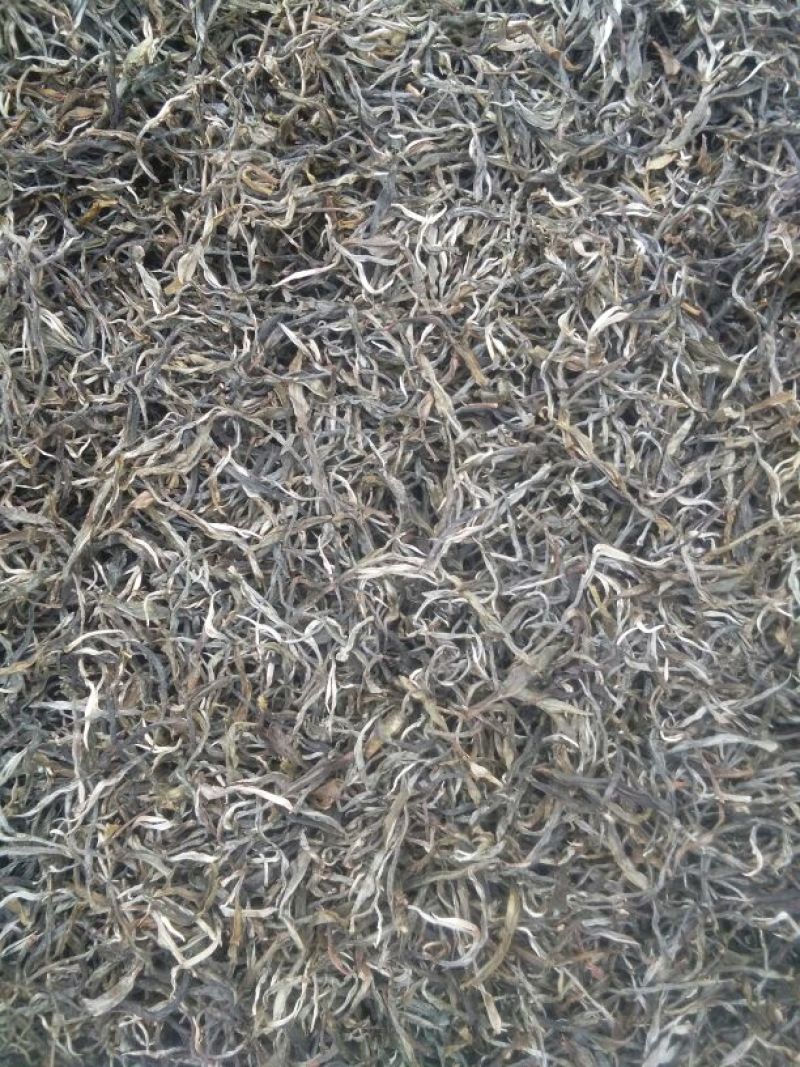 普洱茶二级