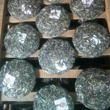 古树普洱茶一级