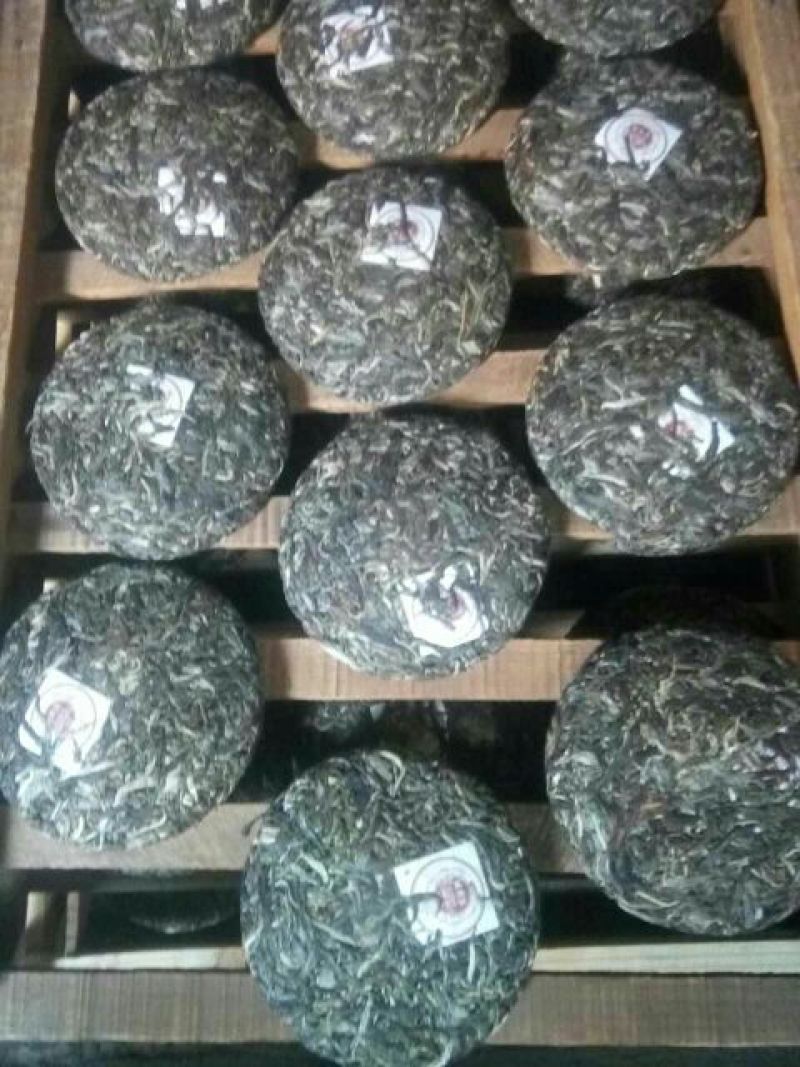 古树普洱茶一级