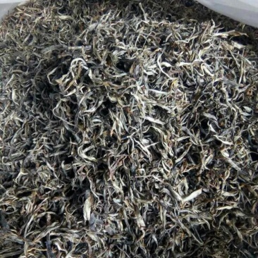 古树茶三级
