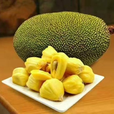 菠萝蜜10~15公斤