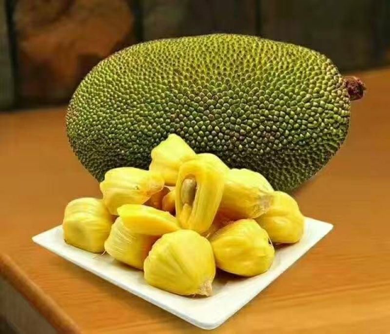 菠萝蜜10~15公斤
