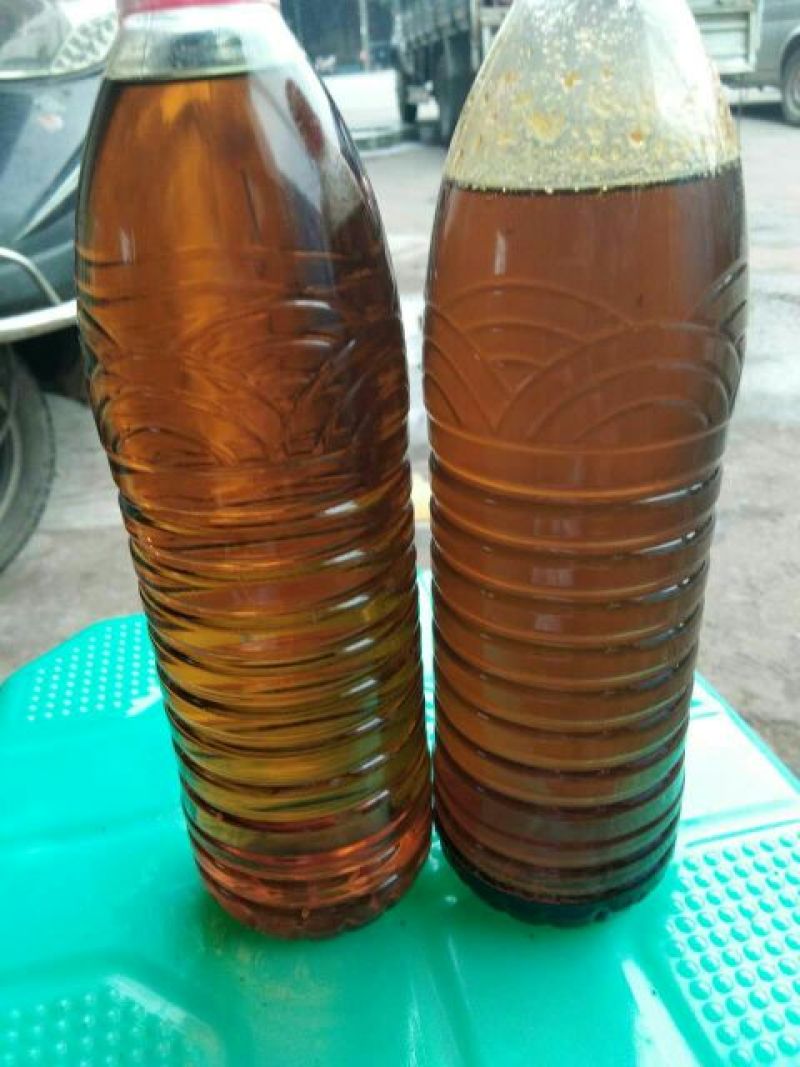 甘蓝型油菜籽1级