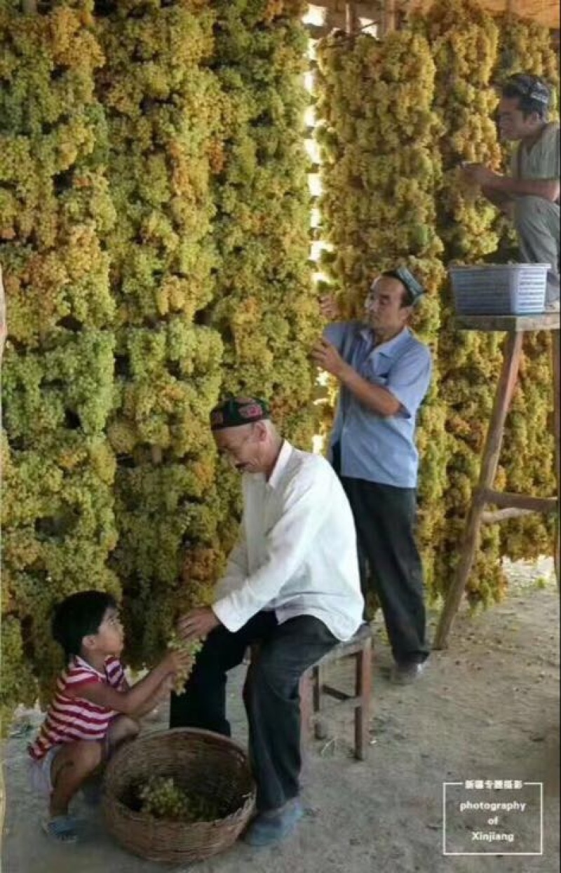 绿无核葡萄干无核一级
