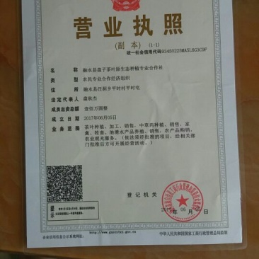 古树茶特级