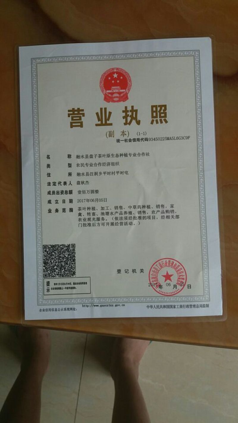 古树茶特级