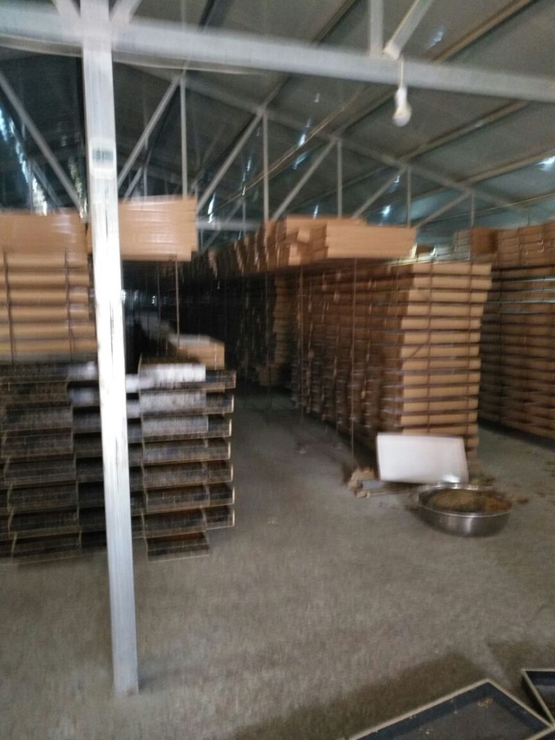 黄粉虫饲料