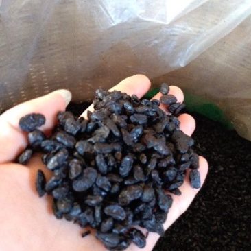 豆豉