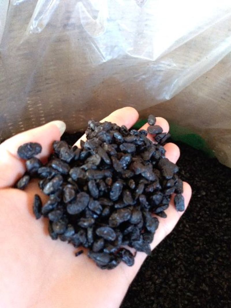 豆豉