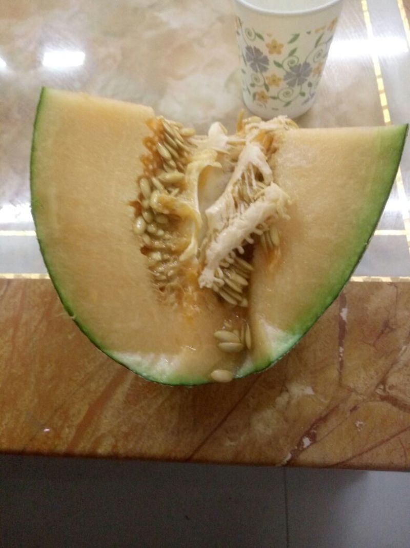 西州蜜瓜3斤以上长圆形