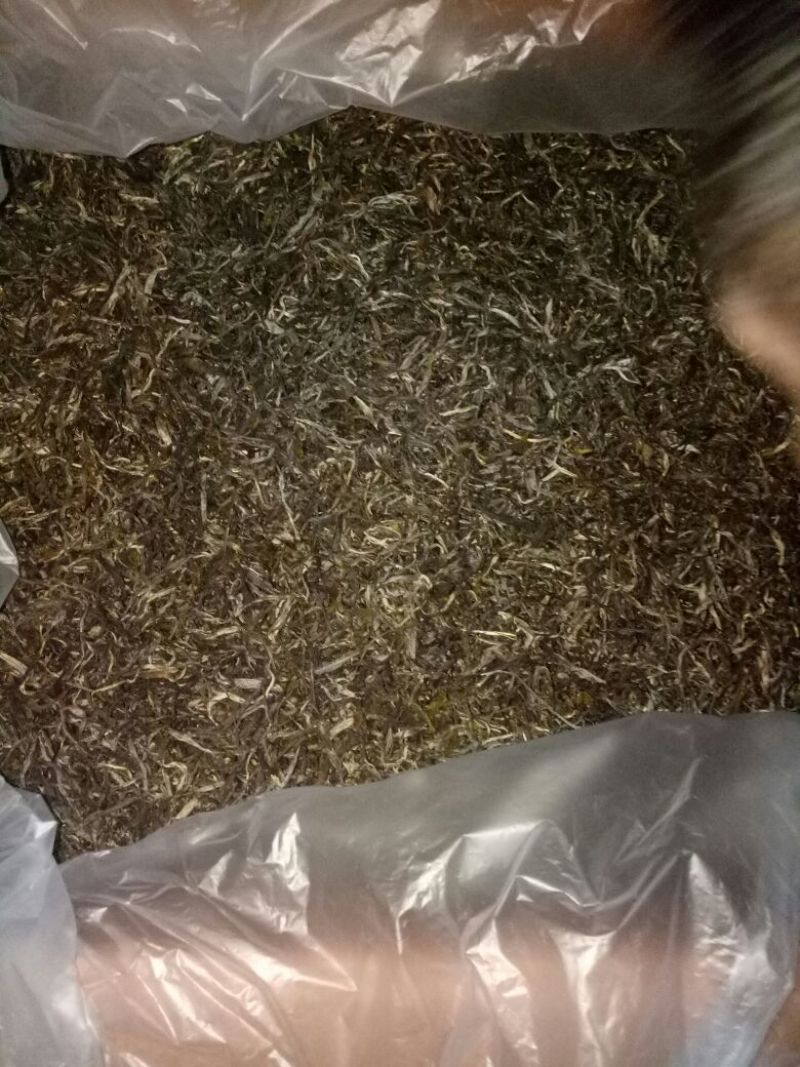 普洱茶一级