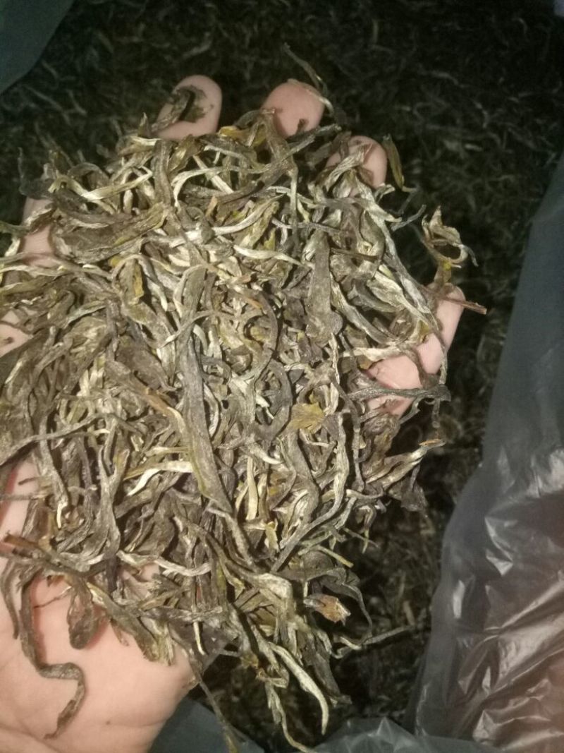 普洱茶一级