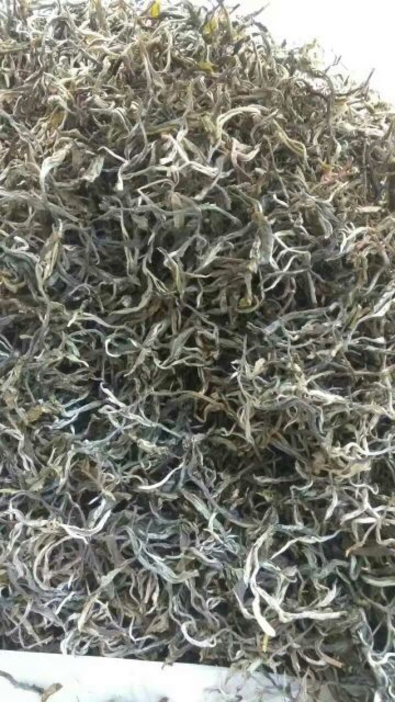 普洱茶特级