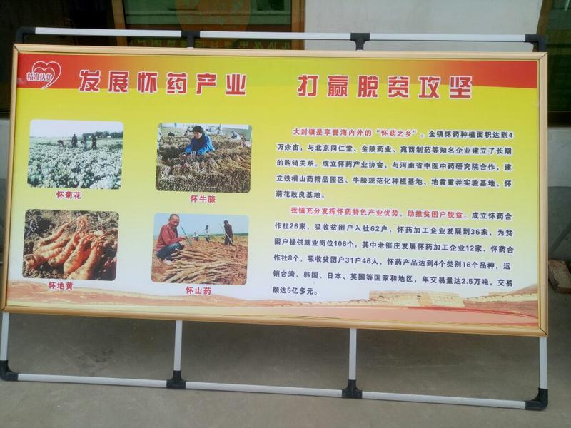 温县垆土铁棍山药颗粒，白碎产地直销量大从优欢迎联系