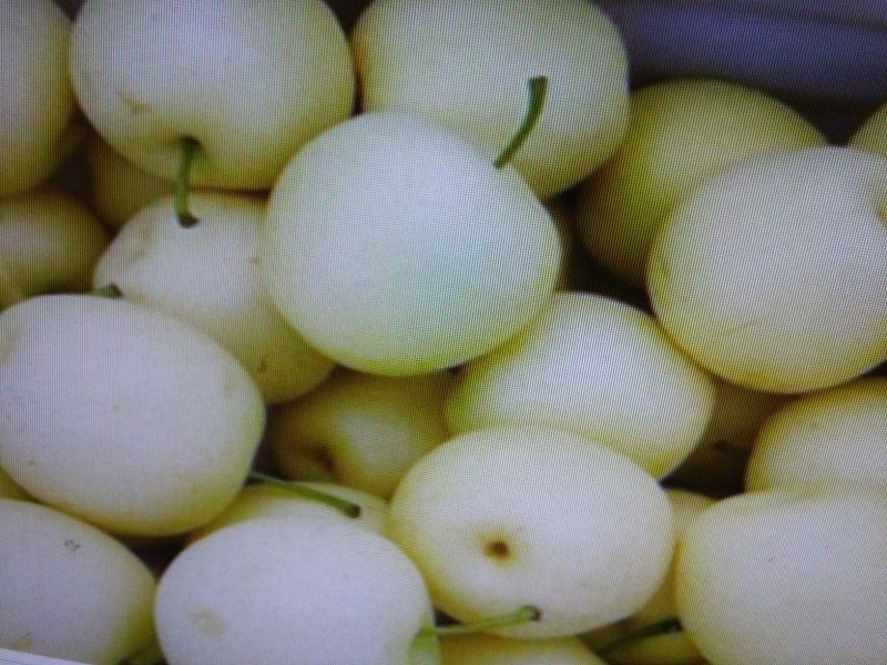 梨500~550g纸箱