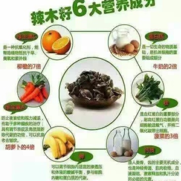 辣木籽