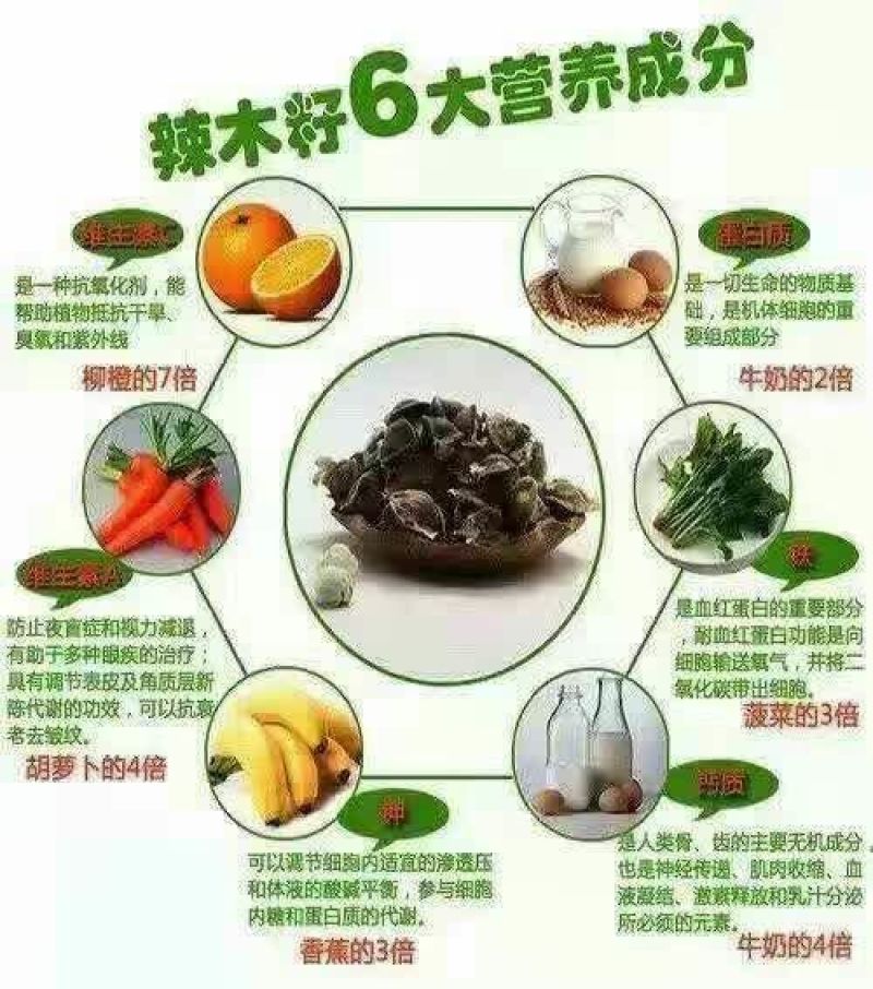 辣木籽