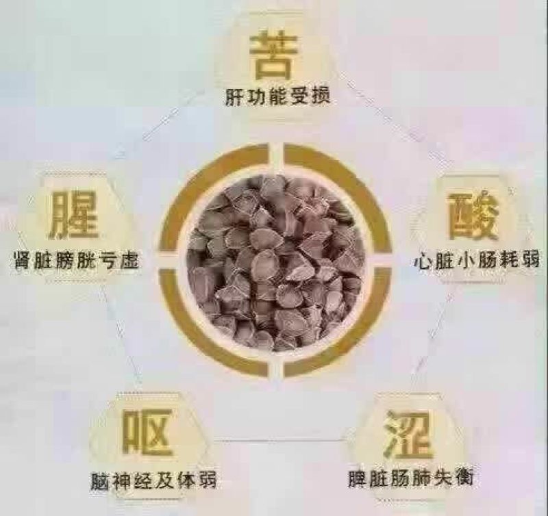 辣木籽