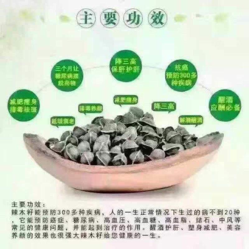 辣木籽